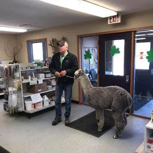 Rolling Hills Veterinary Services Picture 7