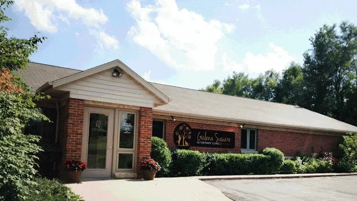 Galena Square Veterinary Clinic Picture 2