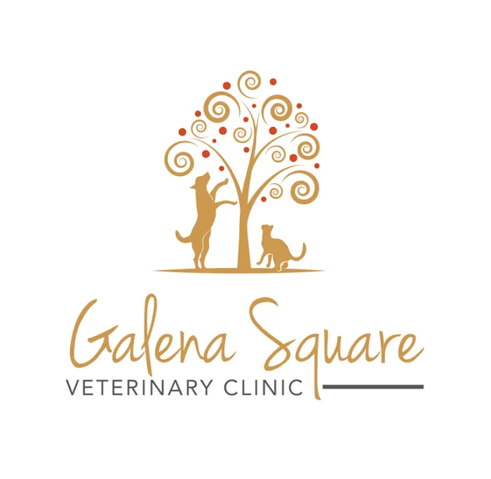 Galena Square Veterinary Clinic Picture 8