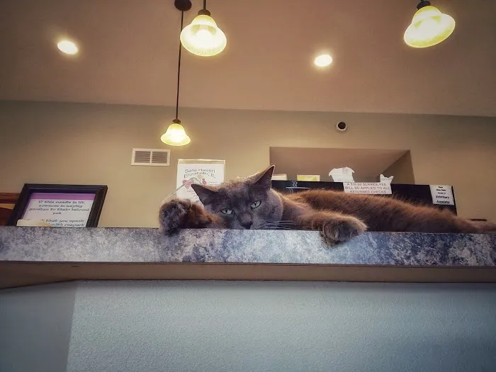 Veterinary Associates - Galena Picture 1