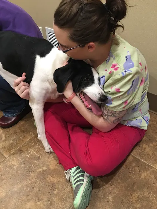 Veterinary Associates - Galena Picture 2