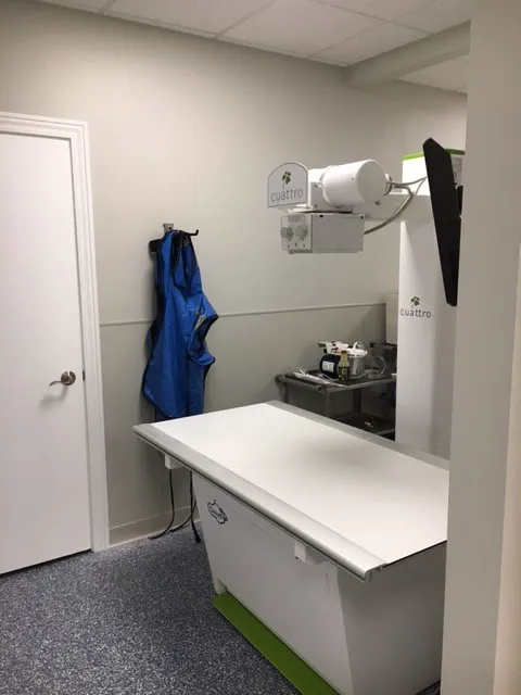 PetMed of Key West Veterinary Clinic Picture 3