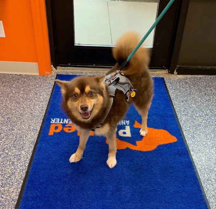 PetMed of Key West Veterinary Clinic Picture 10