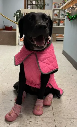 Teasdale Veterinary Clinic Picture 2