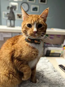 Teasdale Veterinary Clinic Picture 8