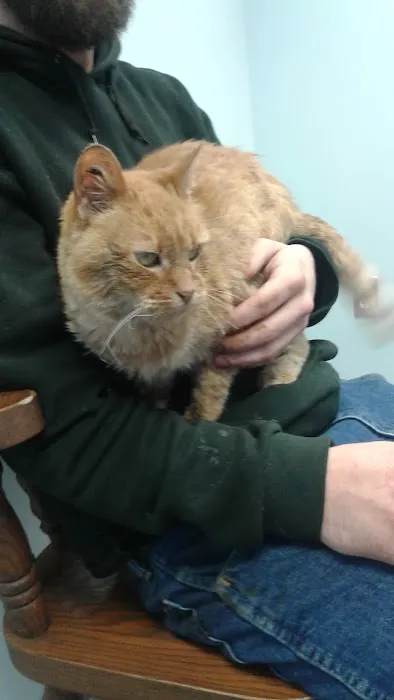 Faithful Friends Animal Hospital Picture 8