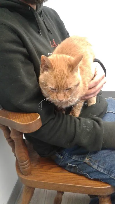 Faithful Friends Animal Hospital Picture 7
