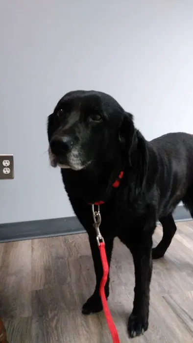 Faithful Friends Animal Hospital Picture 4