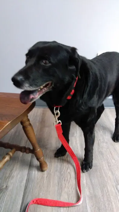 Faithful Friends Animal Hospital Picture 3