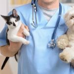 Sunset View Animal Hospital