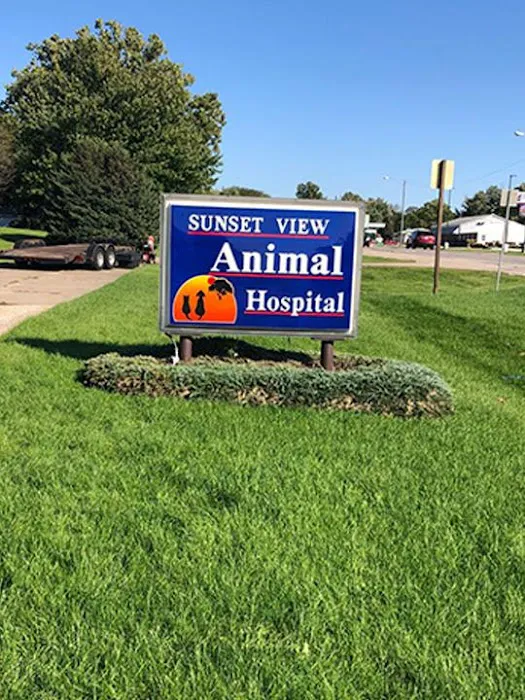 Sunset View Animal Hospital Picture 8