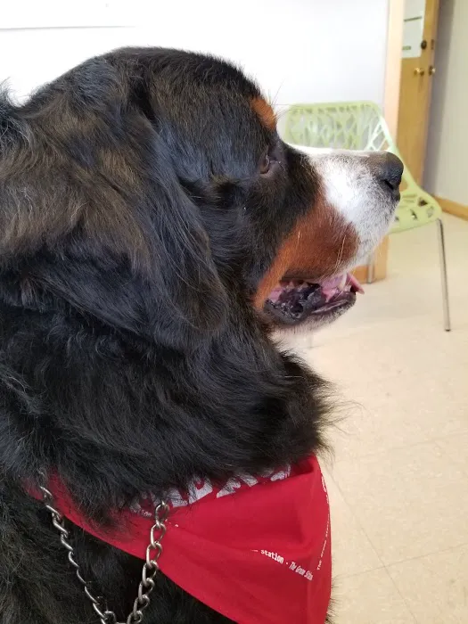 Tipton Veterinary Services Picture 2