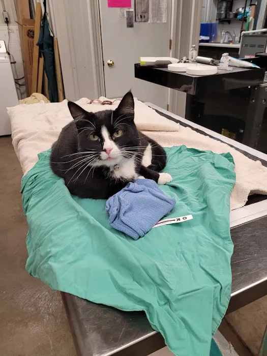 Tipton Veterinary Services Picture 7