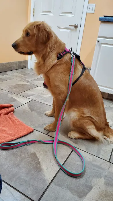 BLUE GRASS VETERINARY HOSPITAL Picture 3