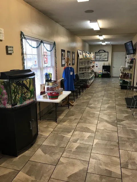 BLUE GRASS VETERINARY HOSPITAL Picture 10