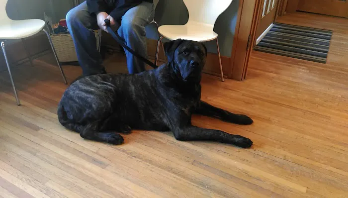 Compassionate Care Veterinary Clinic Picture 1
