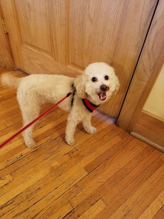 Compassionate Care Veterinary Clinic Picture 5