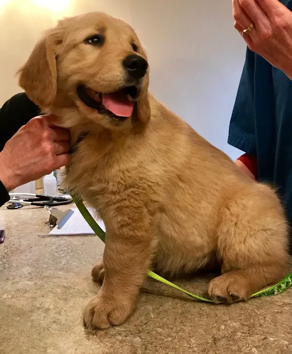 Compassionate Care Veterinary Clinic Picture 9