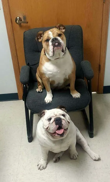 Aledo Veterinary Clinic Picture 2