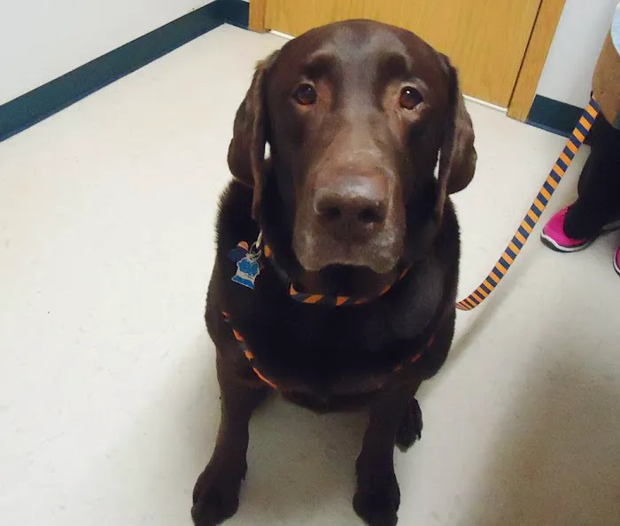 Aledo Veterinary Clinic Picture 9