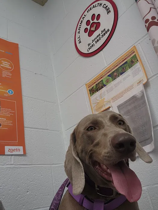 All Animal Health Care Picture 1