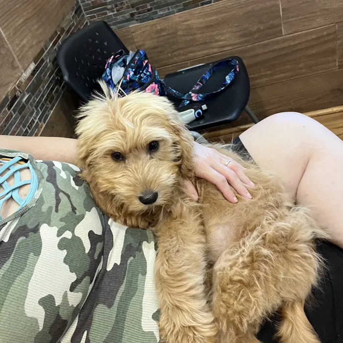 Spoon River Animal Clinic Picture 1