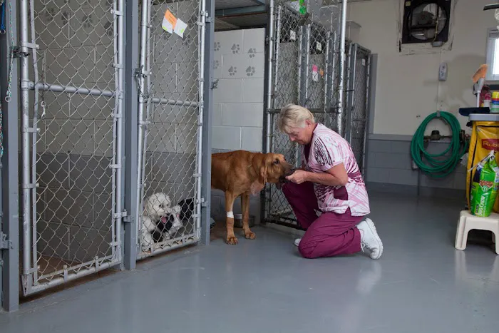 Spoon River Animal Clinic Picture 6
