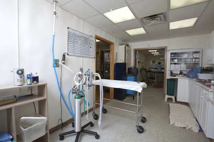 Spoon River Animal Clinic Picture 5