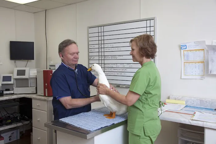 Spoon River Animal Clinic Picture 9