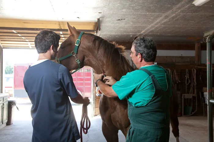 Spoon River Animal Clinic Picture 8
