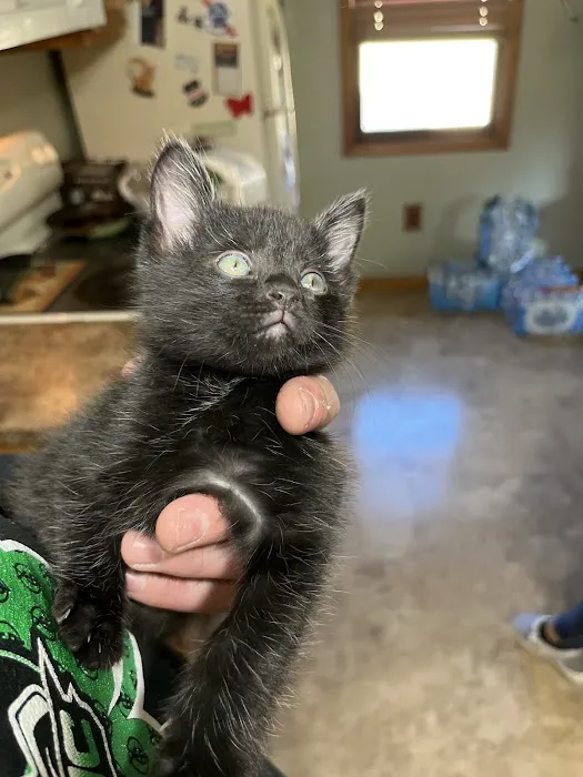 Oakdale Veterinary Center Picture 5