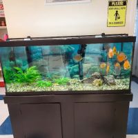 Monmouth Small Animal Hospital ico
