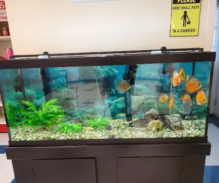 Monmouth Small Animal Hospital
