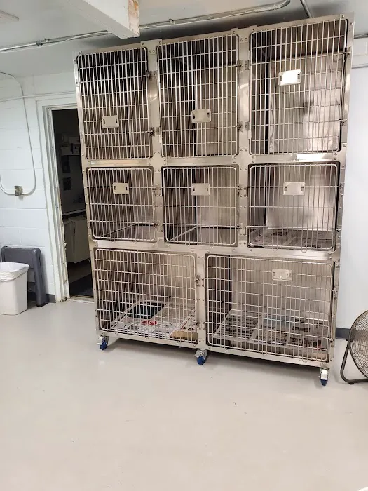 Monmouth Small Animal Hospital Picture 2