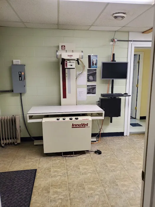 Monmouth Small Animal Hospital Picture 8