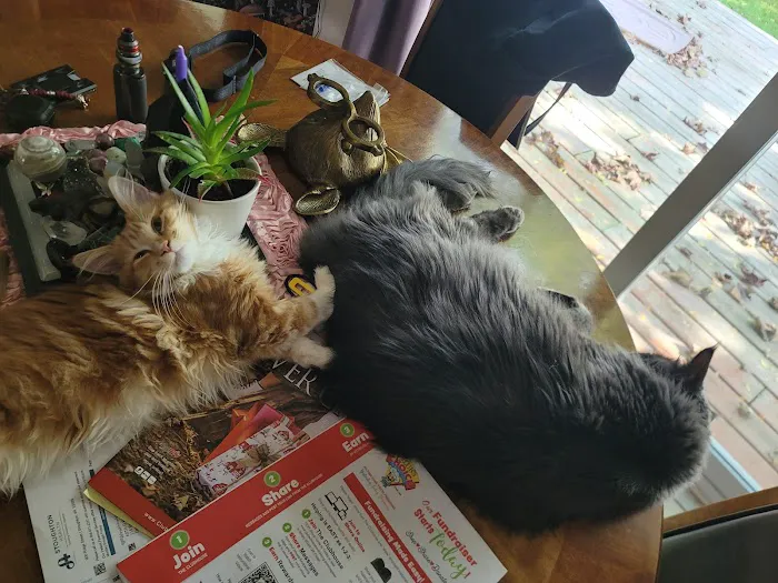 Country View Veterinary Service Picture 2