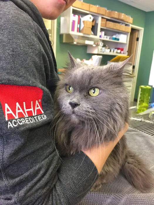 True Veterinary Care Picture 7