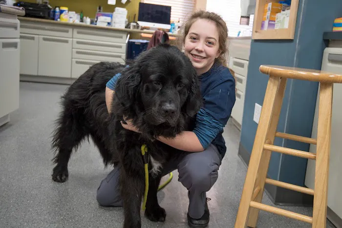 True Veterinary Care Picture 10