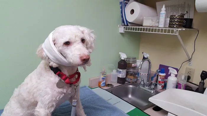 Verona Veterinary Medical Service, S.C. Picture 3