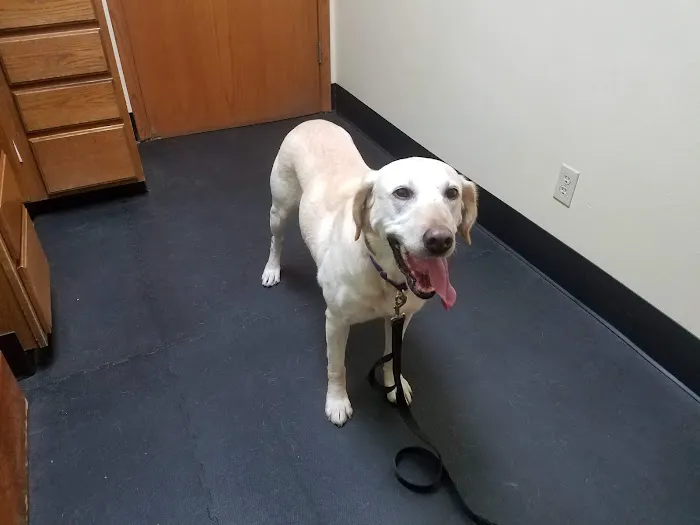 Verona Veterinary Medical Service, S.C. Picture 5