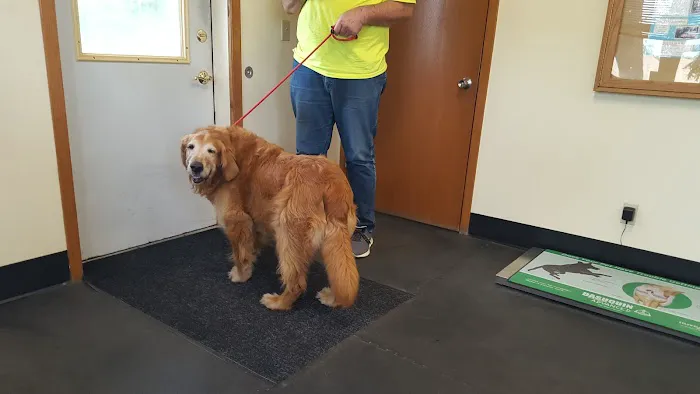 Verona Veterinary Medical Service, S.C. Picture 9