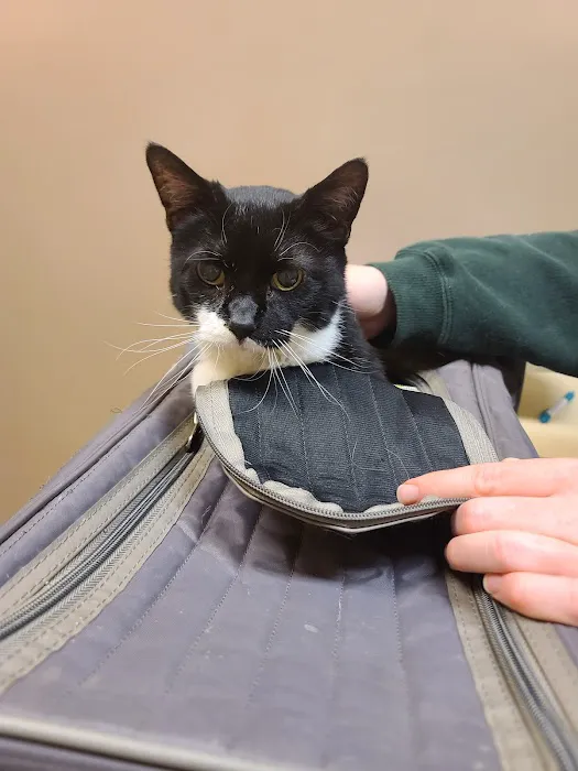 Lakeland Veterinary Care Picture 5