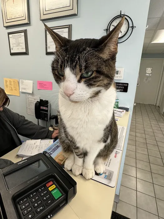 Stoughton Veterinary Service Picture 5