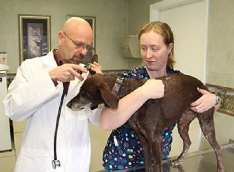 Stoughton Veterinary Service Picture 10