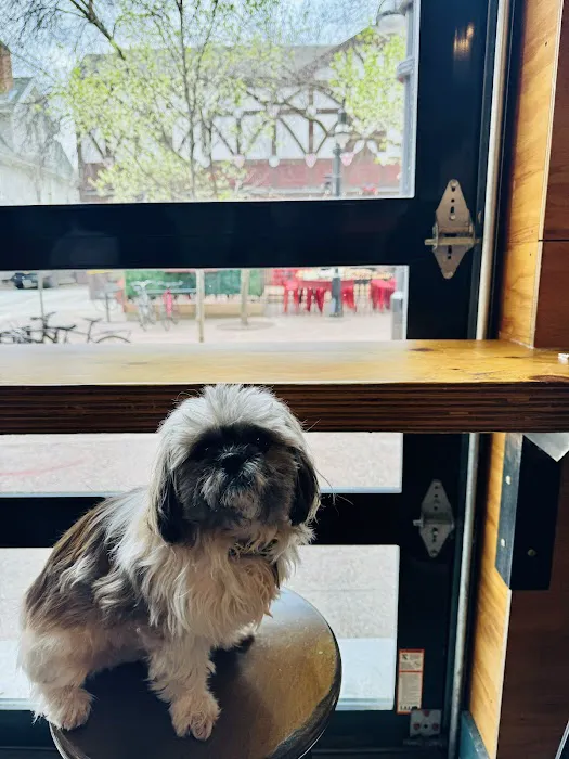 Chalet Veterinary Clinic Picture 8