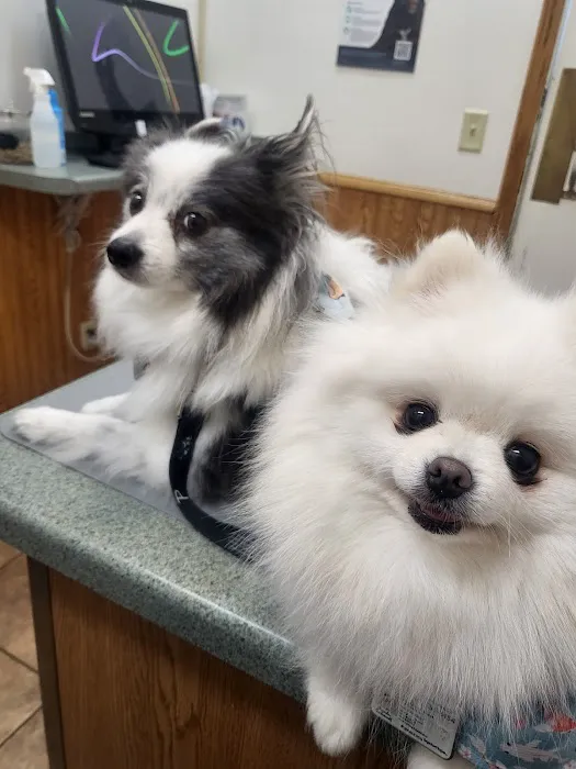 Edgerton Veterinary Clinic Picture 1