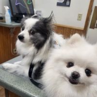 Edgerton Veterinary Clinic ico