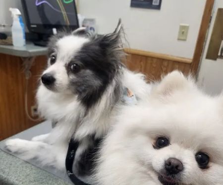 Edgerton Veterinary Clinic