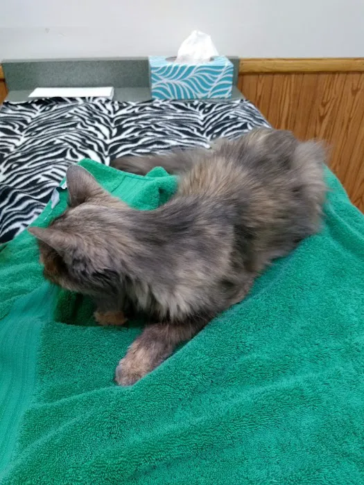 Edgerton Veterinary Clinic Picture 8