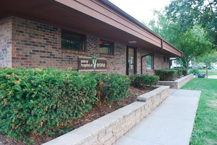 Animal Hospital of Verona Picture 10